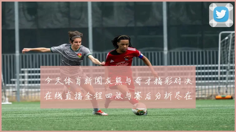 今天体育新闻灰熊与奇才精彩对决在线直播全程回放与赛后分析尽在此处